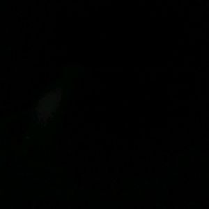 Meet your Posher, Travis